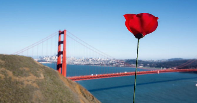 В следующем году Kenzo выпустят юбилейную версию Flower by Kenzo 